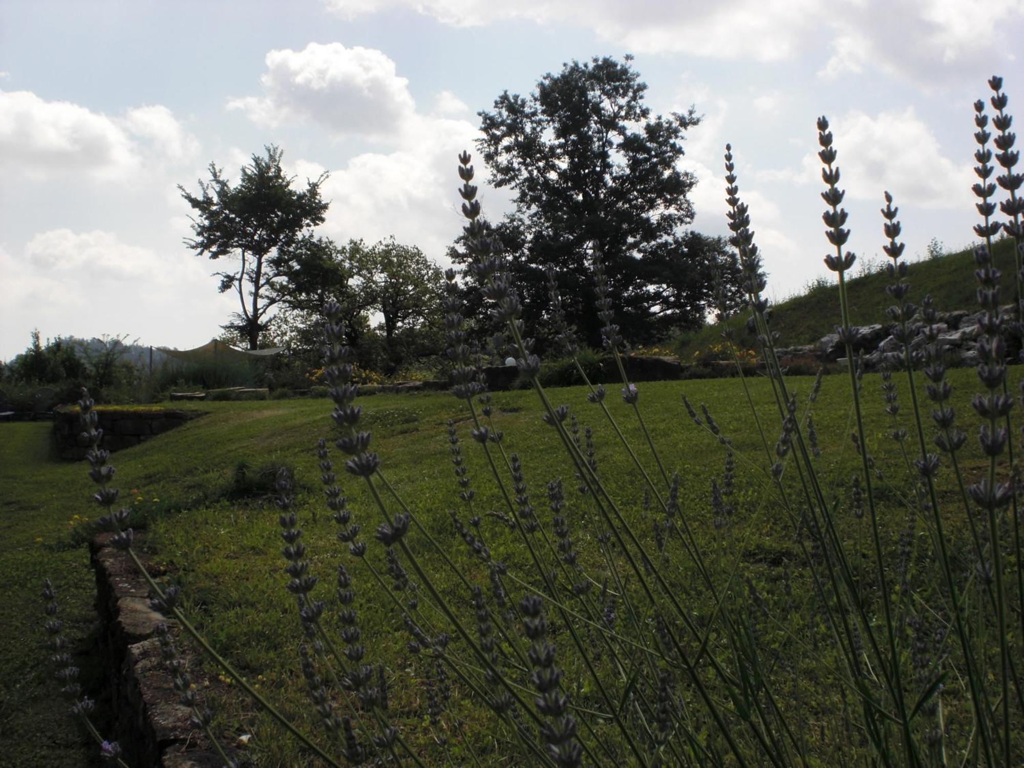 Agriturismo Campo Del Pillo Pietradura Luaran gambar